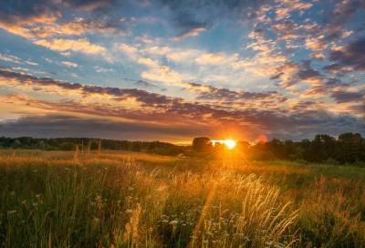 «А где-то в поле играет солнце»: пятничный рассвет вдохновил фотографа из Луги на стихи
