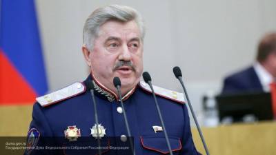 Депутат Водолацкий призвал жестко наказывать организаторов митингов в Хабаровске