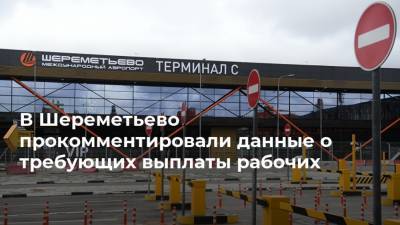 В Шереметьево прокомментировали данные о требующих выплаты рабочих