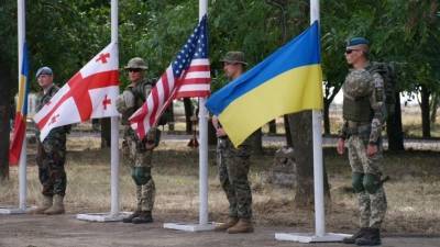 Украина пытается придать военным учениям серьезности, взывая к помощи НАТО