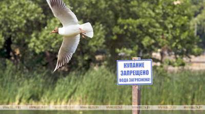 В пяти зонах отдыха Гомельской области купание приостановлено