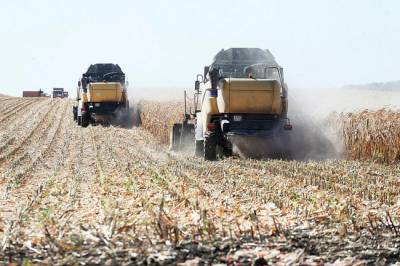 «Ситуация чрезвычайная»: фермеры рассказали о потерях урожая из-за сильнейшей засухи
