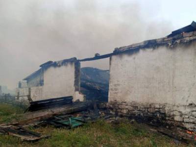 В селе Одесской области сгорела свиноферма: десятки хрюшек погибло