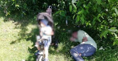 Плявниеки: у пьяного отца, спящего под деревом, забрали 3-летнего ребенка
