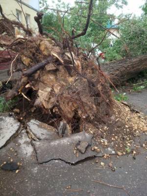 В Саратовской области ущерб от прошедших ураганов составил 120 миллионов