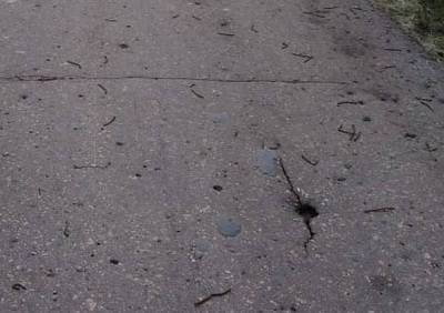 На трассе в Милославском районе рассыпали гвозди