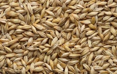 Первый миллион тонн зерна собрали в Воронежской области