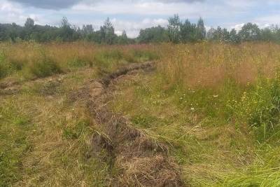 Псковские археологи в шоке: рабочие разрушили остатки старинного поселения