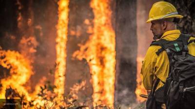 Масштабные лесные пожары привели к введению режима ЧС в Оренбургской области
