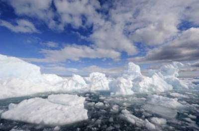 Жителям России хотят предложить бесплатные участки в Арктике