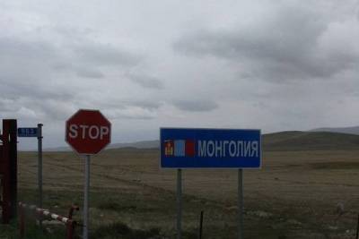 Монгольский учёный предупредил о риске распространения бубонной чумы у границ РФ