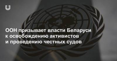 ООН призывает власти Беларуси к освобождению активистов и проведению честных судов