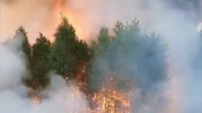 Верховой пожар вблизи деревни в Челябинской области — видео
