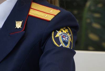 Следователи заинтересовались гибелью 4-летней девочки на мосту во Всеволожском районе