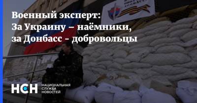 Военный эксперт: За Украину – наёмники, за Донбасс - добровольцы