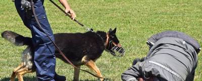 Служебная собака нашла убийц жителя Болотного