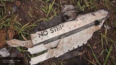 МИД Нидерландов: фонд безопасности полетов начал расследование по крушению МН17