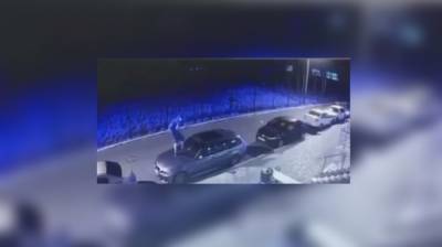 В Воронеже разыскивают хулигана, ногой разбившего стекло припаркованной иномарки