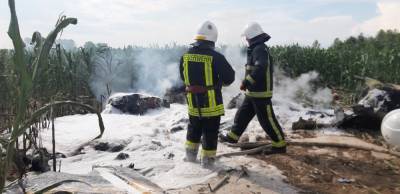 Самолет упал под Киевом: первые кадры с места ЧП