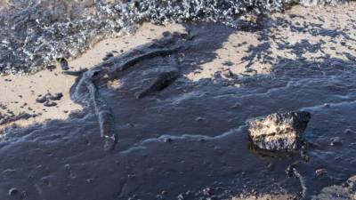 Эколог призвал ужесточить ответственность за разливы топлива в водоемы