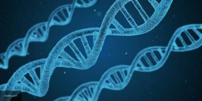 Ученые рассказали, как редактировать ДНК более эффективно