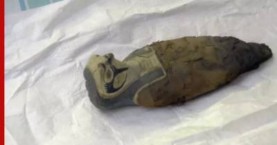 Ученые обнаружили в музее древнеегипетскую мумию из зерна и грязи