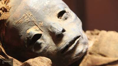 Мумия в музее Израиля оказалась подделкой из грязи и зерна