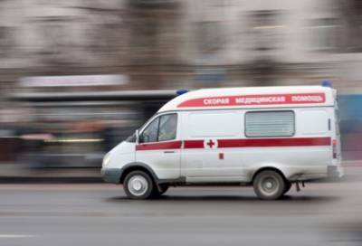 В Петербурге женщина сбила троих детей на переходе