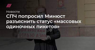 СПЧ попросил Минюст разъяснить статус «массовых одиночных пикетов»