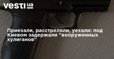 Приехали, расстреляли, уехали: под Киевом задержали "вооруженных хулиганов"