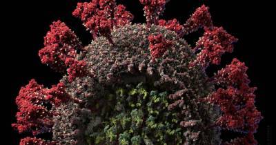 Ученые выяснили, помогает ли лучевая терапия при коронавирусе