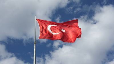 Анкара раскритиковала США за давление на «Турецкий поток»