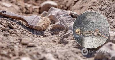 Археологи обнаружили жертву загадочного убийства 2000-летней давности