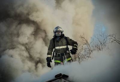 Количество пожаров в России с начала года снизилось на 10%