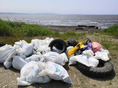 На берегу озера Буссе собрали больше сотни мешков мусора