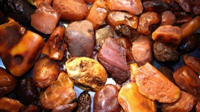 В Украине впервые выдали разрешение на легальную добычу янтаря