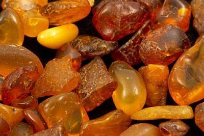 В Ровенской области впервые продали разрешения на добычу янтаря
