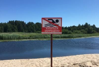 Жителям и гостям Соснового Бора запретили купаться в реке Коваши