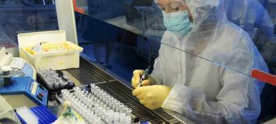 В России за сутки подтвердили 6234 новых случая коронавируса