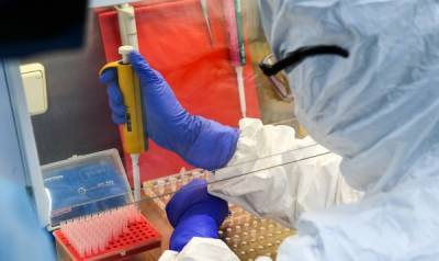 На Ямале выявлено четыре новых очага коронавируса