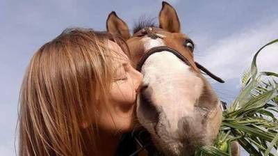 Репатриантка из Украины спасает в Израиле лошадей: "Не дайте им умереть от коронавируса"