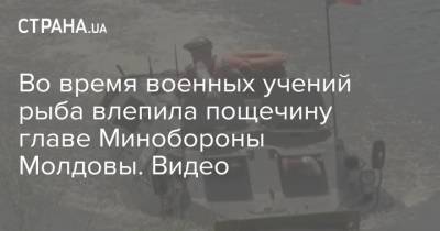 Во время военных учений рыба влепила пощечину главе Минобороны Молдовы. Видео
