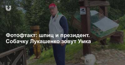Фотофтакт: шпиц и президент. Собачку Лукашенко зовут Умка