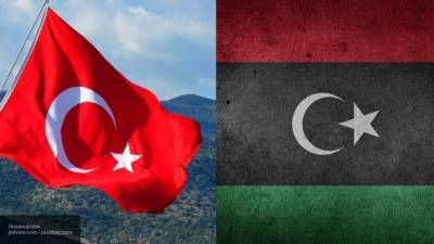 ФАН раскрыл финансово-экономические и политические интересы Турции в Ливии
