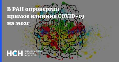 В РАН опровергли прямое влияние COVID-19 на мозг