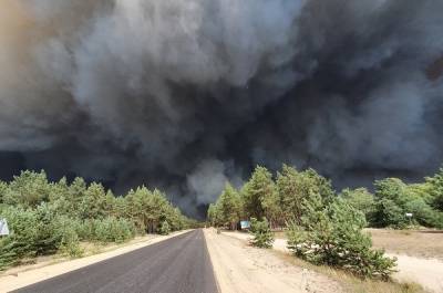 В одном из районов Башкирии из-за лесного пожара ввели режим ЧС
