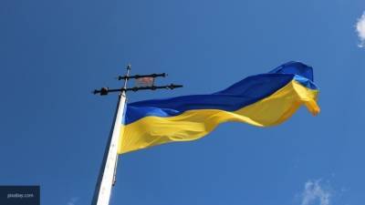 Украинский политтехнолог указал, что в стране вместо парламента существует его симуляция