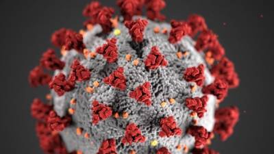 Счастливой жизни не будет? Генсек ООН подвел итоги пандемии коронавируса