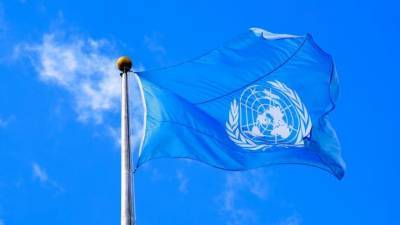 В Совфеде предложение ООН о глобальном договоре расценили как закрепление власти США