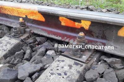 Во Владимирской области поезд насмерть сбил мужчину